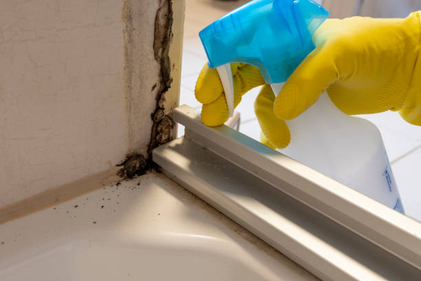 Best Emergency Mold Removal  in Atlantic Highlands, NJ