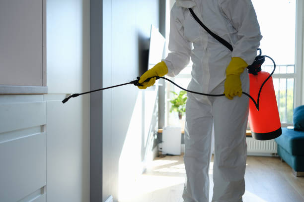 Best Certified Mold Removal  in Atlantic Highlands, NJ