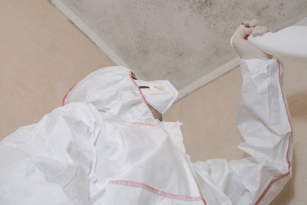 Best Same-Day Mold Removal  in Atlantic Highlands, NJ