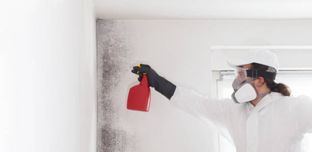 Best Commercial Mold Removal  in Atlantic Highlands, NJ