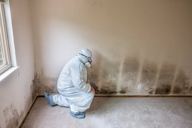 Best Mold Testing  in Atlantic Highlands, NJ